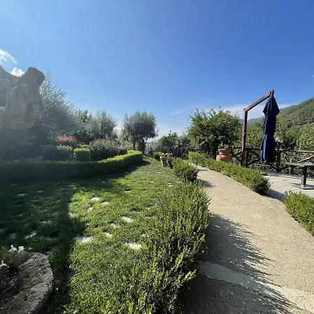 Fior Отель типа 