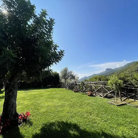 Fior Отель типа 