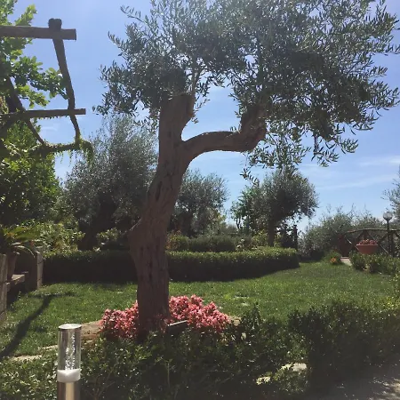 Fior Bed & Breakfast Tramonti